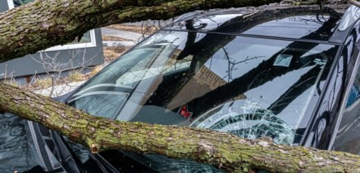 Wichura w Koszalinie. Drzewo spadło na samochód, jedna osoba ranna