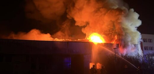 Pożar w opuszczonym przedszkolu w Dąbrowie Górniczej. Śmierć mężczyzny