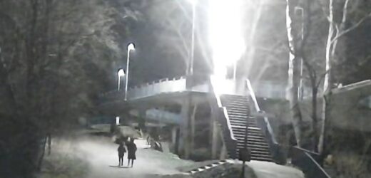 W sylwestrową noc odpalili petardy tuż przy ogrodzeniu wrocławskiego zoo