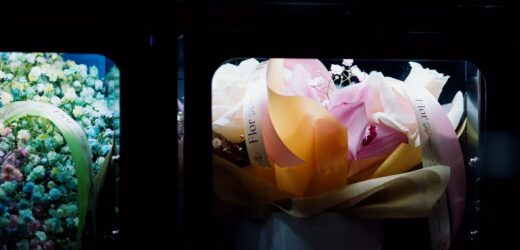 Włamywacz-romantyk rozdawał kobietom kwiaty