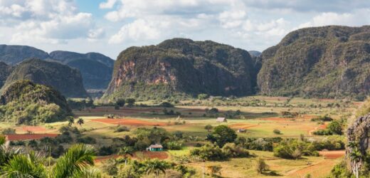 Występuje tylko w jednym miejscu na świecie. Naukowcy odkryli nowy gatunek pajęczaka
