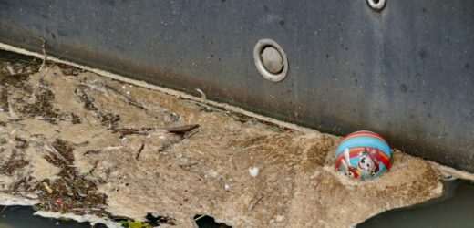 Śmieci, ścieki i brud. Zdjęcia Tamizy robią wrażenie