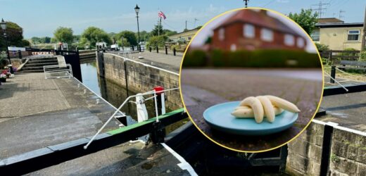 Niecodzienny widok na ulicach Beeston. Kto i po co zostawia obrane banany?