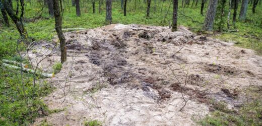 ​Jest opinia botaników ws. rakiety, która spadła pod Bydgoszczą