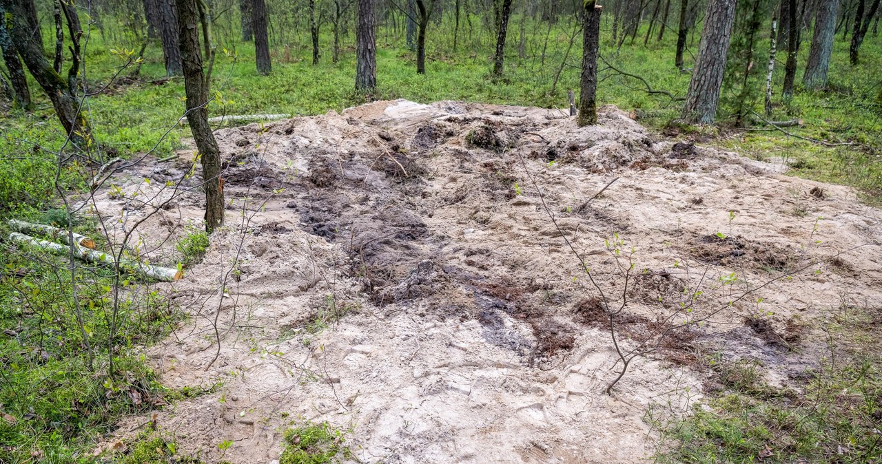 ​Jest opinia botaników ws. rakiety, która spadła pod Bydgoszczą