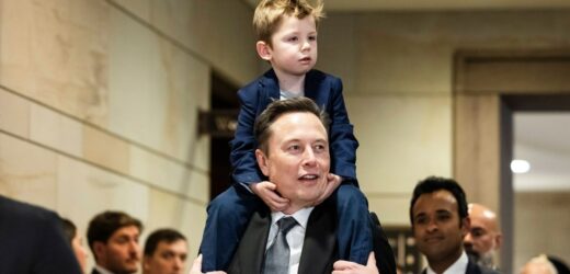 Musk znów namawia Niemców do głosowania na AfD