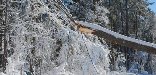 Zima zaatakowała. 23 tysiące odbiorców bez prądu