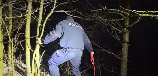 Tylko pies wrócił ze spaceru. Policjanci nieśli 20-latka na barkach