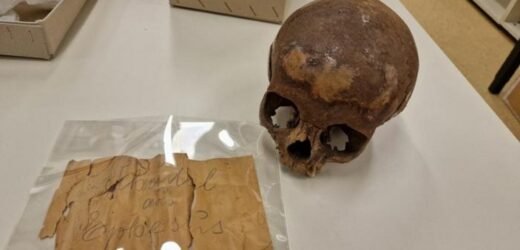 Nie siostra Kleopatry lecz… chłopiec