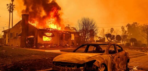 Ona przeżyła, brat zginął w pożarze. Znaleźli go z wężem ogrodowym w ręku