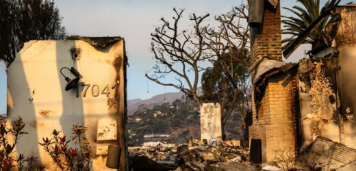 „Zostałam z jedną walizką”. Polka mieszkała w dzielnicy, którą pochłonął pożar