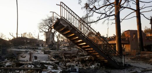 „Będzie trzeba stuleci, by wszystko odbudować”. Dramatyczne doniesienia z Los Angeles