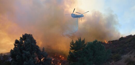 Los Angeles wciąż w ogniu. Już 16 ofiar pożarów