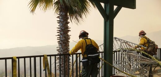 Już 24 ofiary pożarów w USA. Zidentyfikowano tylko jedną osobę