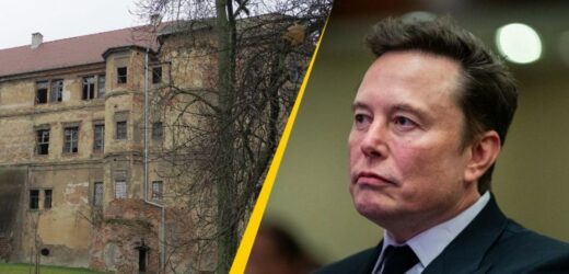 ​Burmistrz Głogówka ma ofertę dla Elona Muska: kupno zamku