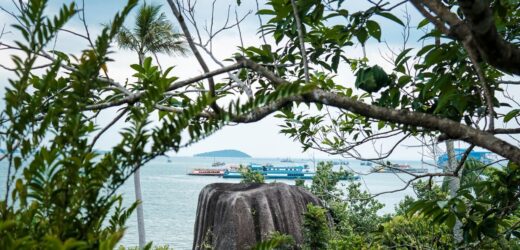 Czysta strata dla klimatu