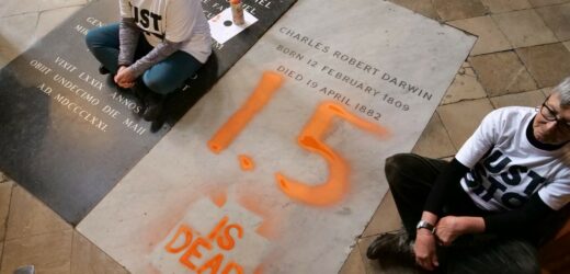 Kolejny protest „Just Stop Oil”. Ekolodzy oblali farbą grób Darwina