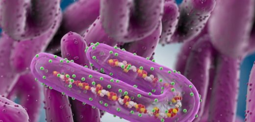 Wirus Marburg w Tanzanii. Nowe dane WHO dot. śmiertelności