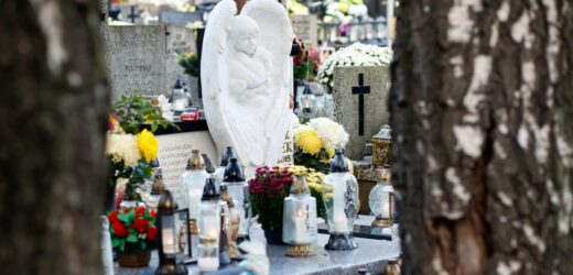 Śmierć Kamilka z Częstochowy. Prokuratura tłumaczy umorzenie śledztwa ws. odpowiedzialności służb