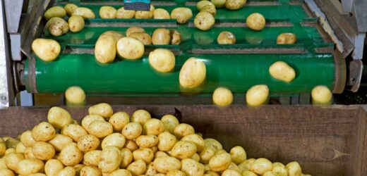 ​Granat wśród ziemniaków. Groźny incydent w Lęborku