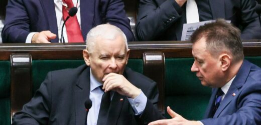 PiS liderem sondażu. Traci KO, zyskuje Konfederacja