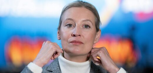 Liderka AfD porównała protestujących w Hamburgu do bojówek NSDAP