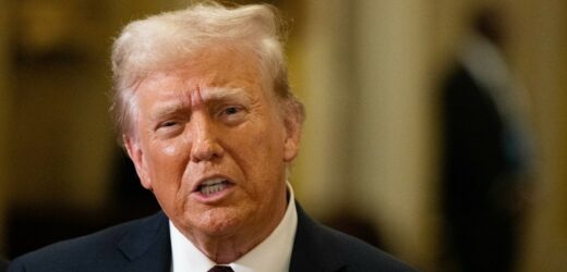 Niekonwencjonalny gabinet Trumpa. Dominują miliarderzy i postacie z telewizji