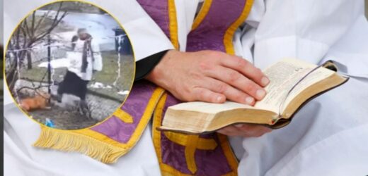 ​Ksiądz chciał uderzyć psa. Kuria zabiera głos