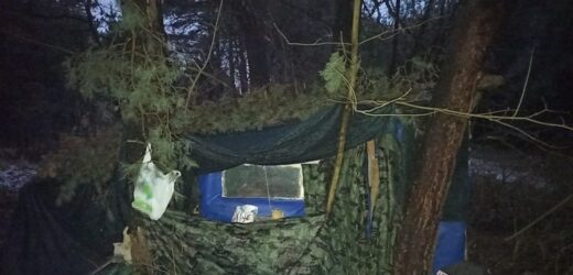 29-latka ukrywała się przed policją. Znaleźli ją w szałasie przykrytym gałęziami