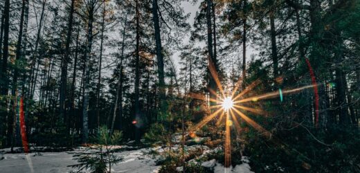 Wiosna w weekend. Nawet 12 stopni na plusie