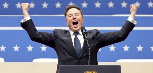 „Wstyd, głupi Schitz!”. Musk znów obraża kanclerza Niemiec