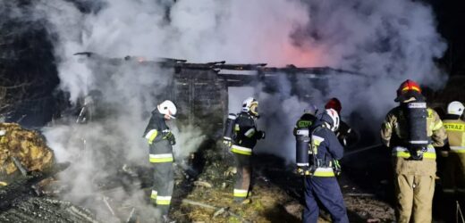 Pożar domu w Adamowie. W pogorzelisku znaleziono zwęglone zwłoki