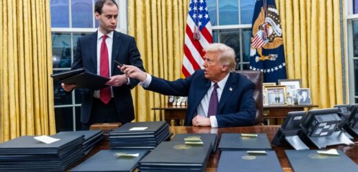 18 stanów kontra Donald Trump. Pozwy przeciwko prezydenckiemu rozporządzeniu