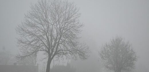 IMGW ostrzega przed gęstą mgłą