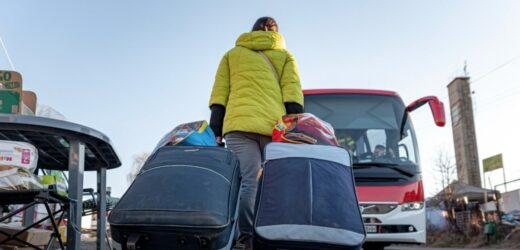 Weryfikacja praw jazdy kierowców. „Zainteresowanie jest niewielkie”