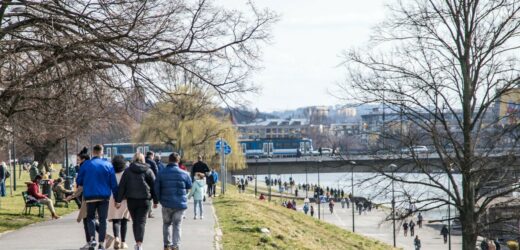 Czy to już wiosna? Zaskakująca prognoza pogody