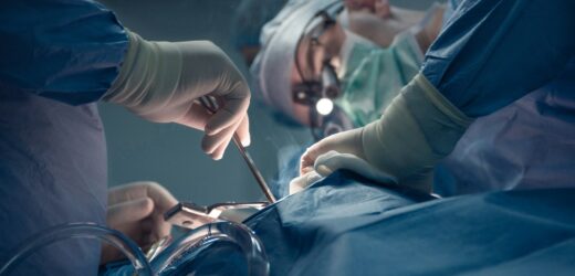 W Małopolsce coraz więcej przeszczepów. NFZ podsumowuje rok