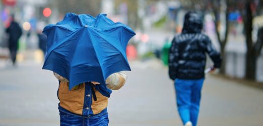 Silny wiatr na południu. IMGW wydaje alerty