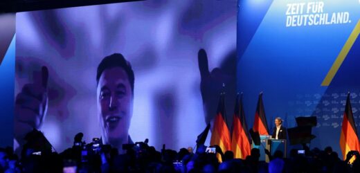 ​Musk radzi Niemcom, by „nie skupiali się na przeszłych winach”. Jad Waszem reaguje