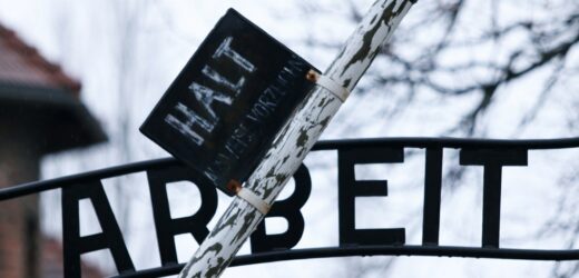 Auschwitz w popularnych powieściach. Ile prawdy, a ile uproszczeń i bzdur?