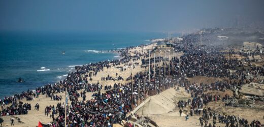 Palestyńczycy wracają na północ Strefy Gazy. Niesamowite zdjęcia