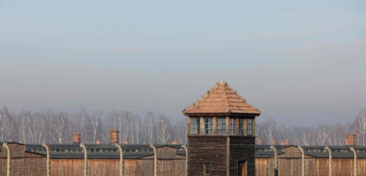 „Polskie obozy”. Niektórzy wciąż się nie nauczyli