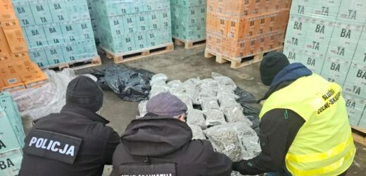 Ogromna ilość narkotyków przechwycona przez polskich policjantów