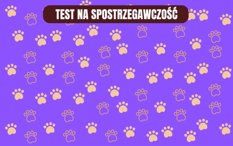 Test dla spostrzegawczych: Czy uda ci się znaleźć różnicę na obrazku? Masz 10 sekund