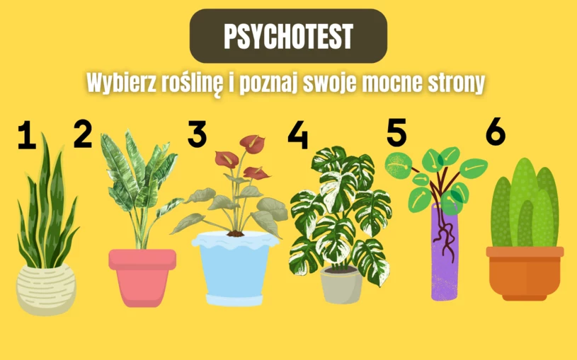 Co jest twoją mocną stroną? Prosty test zdradzi więcej, niż myślisz