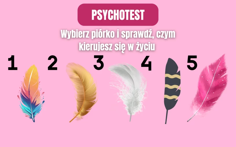 Test na sposób życia. Czym najczęściej się kierujesz?