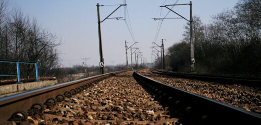 Drzewo spadło na tory. Maszynista zareagował w porę