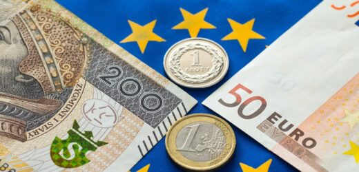 Euro tanieje, złotówka się umacnia. „Kowalski raczej na tym nie zyska”