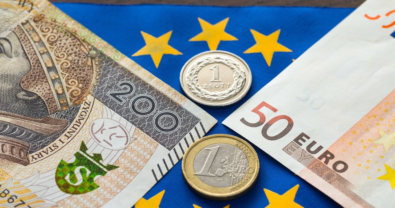 Euro tanieje, złotówka się umacnia. „Kowalski raczej na tym nie zyska”