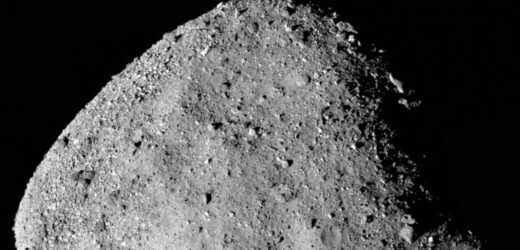 Planetoida pełna minerałów kluczowych dla życia